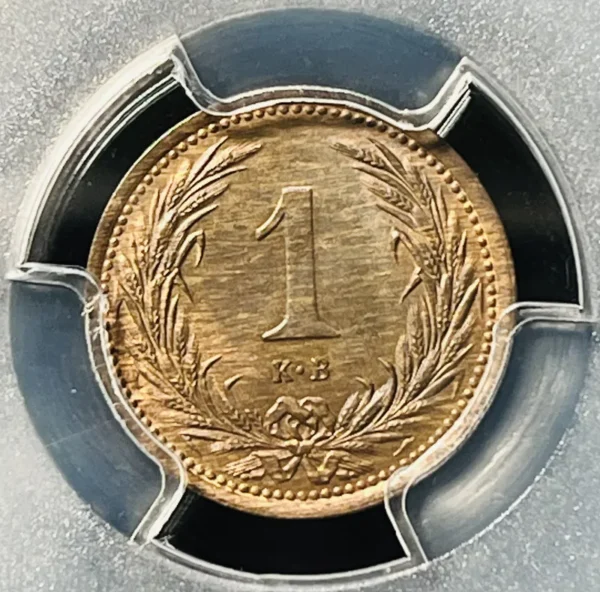 Hungary 1901 KB 1 Filler - Image 2